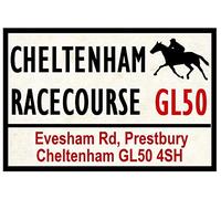 TNND - Señal de metal para carreras de caballos (20 x 30 cm)