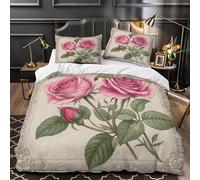 TNSGHAVED Aviones Antiguos Sky Funda de Edredón Juego de 3 Piezas Estampado 3D Cremallera Oculta Incluye Fundas de Almohada Diseño de aviación Retro Funda Edredon for Adolescentes King（220x240cm）