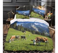 TNSGHAVED Despegue del avión Funda de Edredón Cierre de Juego de 3 Piezas Estampado 3D Incluye Fundas de Almohada Antialérgica Vista aérea del Atardecer Funda Edredon for niña King（220x240cm）