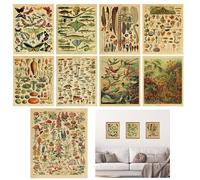 TNSLAND 9 piezas Vintage Botánico Póster Mariposa Carteles Gráfico de Flores Paquete de Identificación Educación Hogar Salón Dormitorio Arte de Pared Decoración Sin Marco 20 x 25 cm