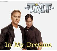 T'Nt - in My Dreams [Import]