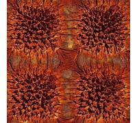 To All My Dear Friends - Transparent Voyages