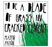 To Be A Blade Of Grass In Cracked Cement
