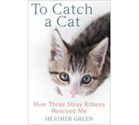 To Catch A Cat (ebook)
