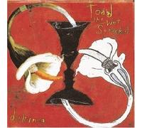 Toad the Wet Sprocket - Dulcinea (Mac)