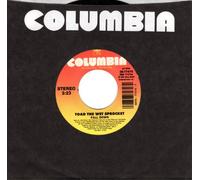 TOAD THE WET SPROCKET - fall down / all right 45 rpm single