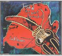 Toad The Wet Sprocket - Fall down [Single-CD]