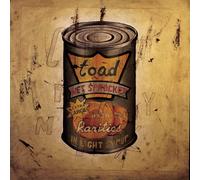 Toad The Wet Sprocket IN LIGHT SYRUP (CD) (Importación USA)