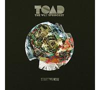 Toad The Wet Sprocket - Starting Now