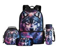 TOADDMOS Juego de 4 mochilas con bolsa de almuerzo, estuche para lápices, botella de agua, bolsa bandolera para niños, niñas, estudiantes de vuelta a la escuela, Galaxy Space Wolf, Mochilas