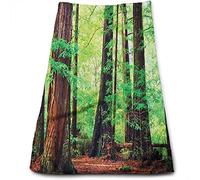 Toallas de Mano Trees, Redwood Trees Northwest Rain Tropical, Toallas Ultra Suaves y Altamente absorbentes para baño, Gimnasio, Ducha, Hotel, SPA, marrón Verde 27 x 16 Pulgadas