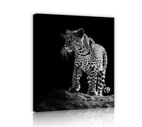 TOANGWALL Arte mural en lienzo en blanco y negro fauna salvaje animales estampados de leopardos pósters modernos de la jungla pinturas obras para la decoración del baño 90x110cm