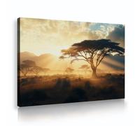 TOANGWALL Sabana Atardecer Lienzo Arte Pared África Paisaje Pintura Amanecer Árbol Horizonte Imágenes Obra Moderna Enmarcada Póster Impresiones Mural para Salón Sala Estar Decoración 50x75cm