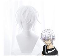 Toaru Majutsu Sin índice Acelerador Cosplay Peluca para hombre Niños 30cm Corto Recto Peluca de anime Pelo sintético resistente al calor Acelerador blanco