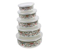 TOBBOMEY 5 Piezas Cuencos Esmaltados con Tapa Bol para Servir Ensaladas Pasta y Sopa Recipiente Ligero con Tapa Reutilizable para Cocina y Buffet