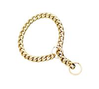 TOBBOMEY Cadena Metálica Dorada para Perros, Collar Decorativo para Mascotas en Fiestas, Reuniones y Paseos de Verano, Tamaño S para Cuello hasta 30 CM