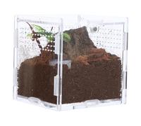 TOBBOMEY Caja De Cría para Arañas Saltarinas De Acrílico Transparente para Insectos Hábitat para Arañas para Alimentación y Cuidado Casa