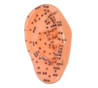 TOBBOMEY Modelo De Reflexología Auricular Para Acupuntura Guía Completa De Puntos De Acupuntura Anotaciones Chino Para Aprendizaje y Masaje De Puntos De Reflexología La Oreja