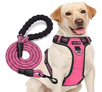 tobeDRI Arnés para perro sin tirones, ajustable, reflectante, Oxford, fácil control, mediano y grande, con una correa de perro resistente de 5 pies (cuello: 18-25.5 pulgadas, pecho: 24.5-33 pulgadas),