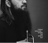 Tobias Wiklund Where the Spirits Eat (Vinyl) 12" Album (Importación USA)