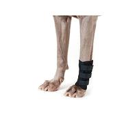 Tobillera para perros, de Back on Track