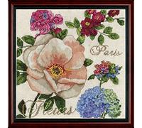 Tobin Paris Fleurs Counted Cross Stitch Kit-10"X10" 14 Count