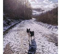 Toby Hay - The Longest Day [Vinilo]