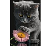 Toca A Daisy Gray Cat Pared Muestra Placa Retro Letrero De Estaño Vintage Carteles De Pared De Metal para Cafetería Jardín Tienda 20X30Cm