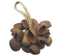 Toca TO804444 - Seed Shell Shaker