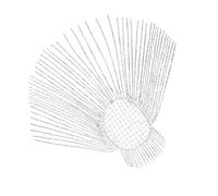 Tocado De Cadena De Borlas De Joyería Para Cabello De Aleación De Seda Portátil Conveniente Para Uso Diario Ocasiones Especiales Diseños Resistentes Tocado De Cadena Para Cabello Con De