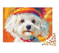 Tocado de Plumas Fondo Colorido Puzzle de 1000 Piezas Papel Puzzle para Adultos Tiempo en Familia 52x38cm/1000pcs