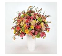 Tocotronic - Schall und Wahn [Import]