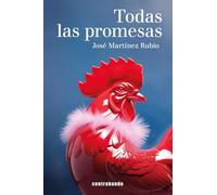 Todas las promesas (NARRATIVA)