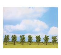 NOCH Árboles de Hoja caduca