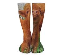 Todavía No Puedo Superar A Este Lindo Cachorrito De Vaca Unisex Calcetin Para Correr Deporte Antiampollas Calcetines De Atletismo Cómodos Calcetines De Running Para Senderismo Tenis Ciclismo