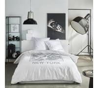 TODAY HC3 - Algodón 57 Hilos Java 1.1