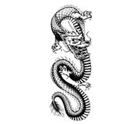 Todays 2 tatuajes temporales de dragón chinos, grandes, para adultos, arte corporal, manga tribal para hombres y mujeres, aspecto realista de Halloween
