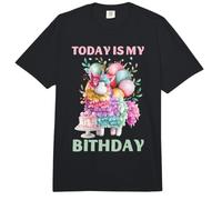 Todays My Birthday Llama Boy Family Bday Party Decoraciones Comfort Colors Adult Heavyweight T-Shirt