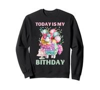 Todays My Birthday Llama Boy Family Bday Party Decoraciones Sudadera