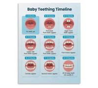 Toddler Care Poster for Nursery Wall and Early Childhood Learning Space
