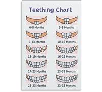 Toddler Tooth Chart Poster Mom And Dad Resource