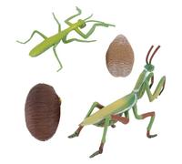 Toddmomy 1 Juego Educativos de Ciclo de Juguete Didáctico de Caracol y Aprendizaje Interactivo y Desarrollo Cognitivo Infantil