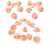 Toddmomy 30 Piezas miniaturas de Concha de Caracol Mini Conchas de terrario Relleno de Cuenco costero decoración de Fiesta bajo el mar Relleno de Centro de Mesa costero Orange