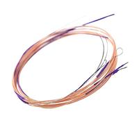 Toddmomy 4piezas Cuerdas Profesionales Para Pipa Cuerdas Prácticas Para Laúd Chino Para Práctica y Rendimiento Escenarios Musicales