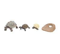 Toddmomy 4Piezas Figuritas De Simulada De Ciclo para Educación y Decoración Juguete Didáctico para Proyectos Escolares y Estatua del Ciclo