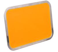 Toddmomy Bandeja de Acero Inoxidable para Disección con Cera, Ligera y Segura, Adecuada para Corte de Papel y Disección Biológica, Tamaño 21x31cm