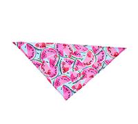 Toddmomy Collar para Perro Babero Diseño De Sandía Resistente a Saliva Práctico para Fiestas Talla s