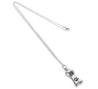 Toddmomy Collar Urna Acero Inoxidable para De Mascota Colgante De De para Dueños De Animales Joyas para