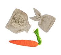 Toddmomy Disfraz de Crochet para Recién Nacido 3 Piezas de Lana para Sesión de Fotos, Incluye Gorro, Zanahoria y Pantalones, Adecuado para Baby Shower