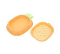 Toddmomy Kit De Crecimiento De Hierba para Gatos Hidropónica Sin para Gatos Diseño para La Digestión y Contenedor